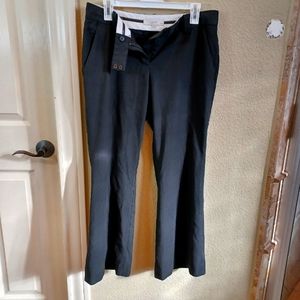 10P Ann Taylor Loft Marisa dress pants